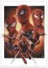 Spiderman NWH