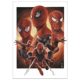 Spiderman NWH