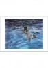 Underwater 3