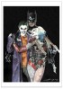 Batman - Bat in the Sun