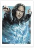 Harry Potter - Snape